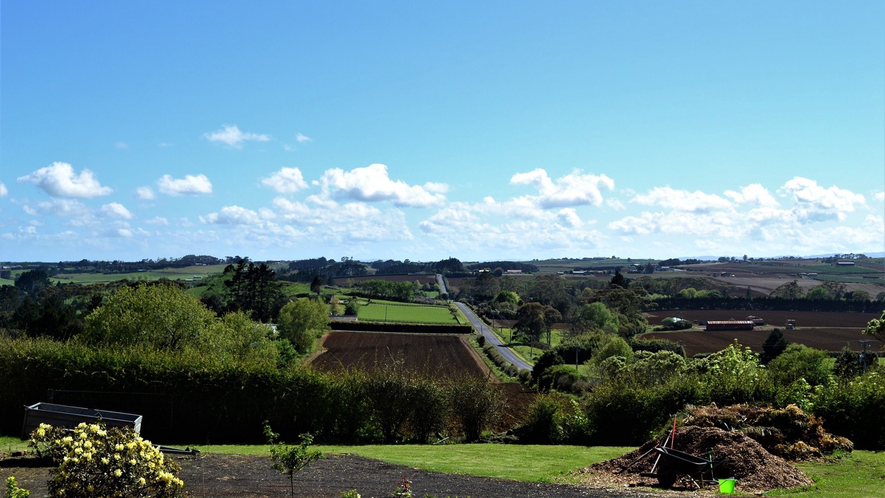 Photo of Others in Puni