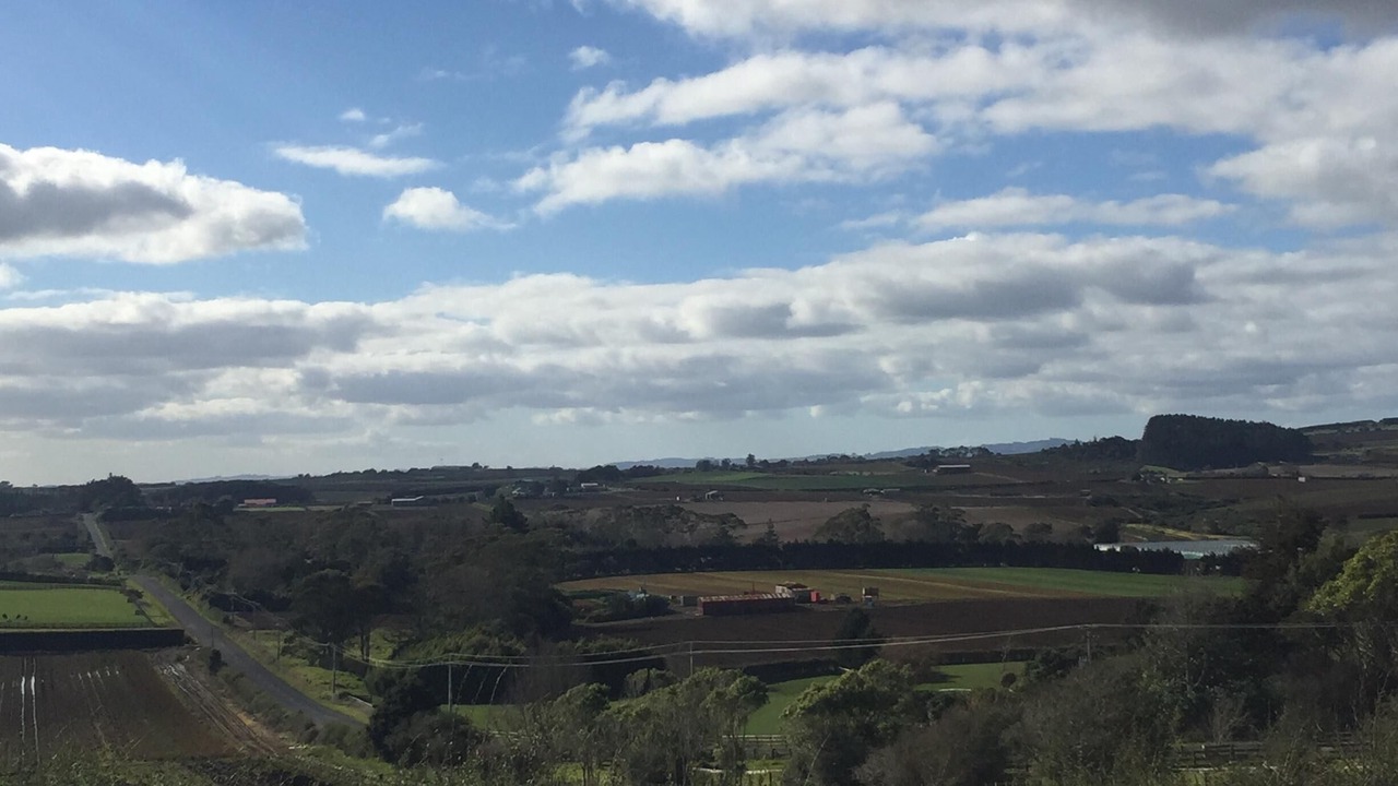 Photo of Others in Puni