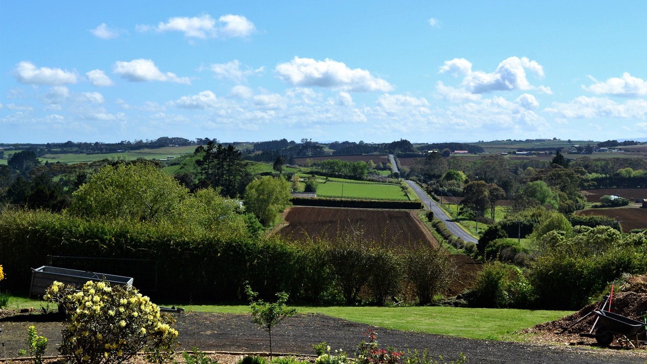 Photo of Outdoor in Puni