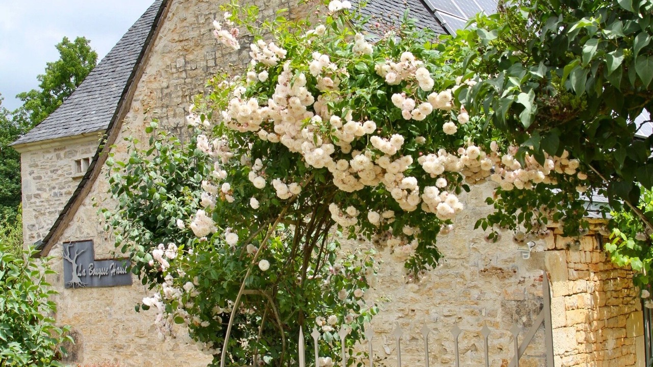 Photo of Outdoor in Cuzance