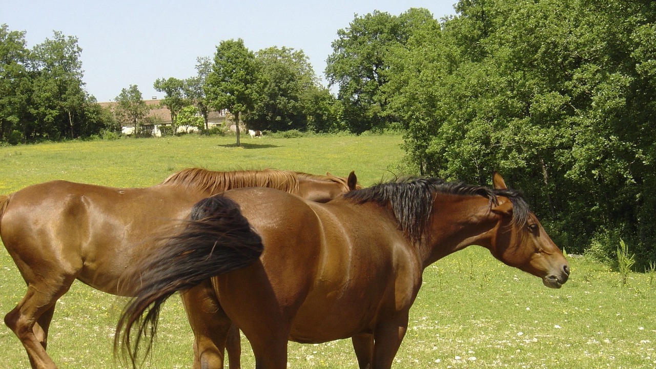 Photo of Others in Cuzance