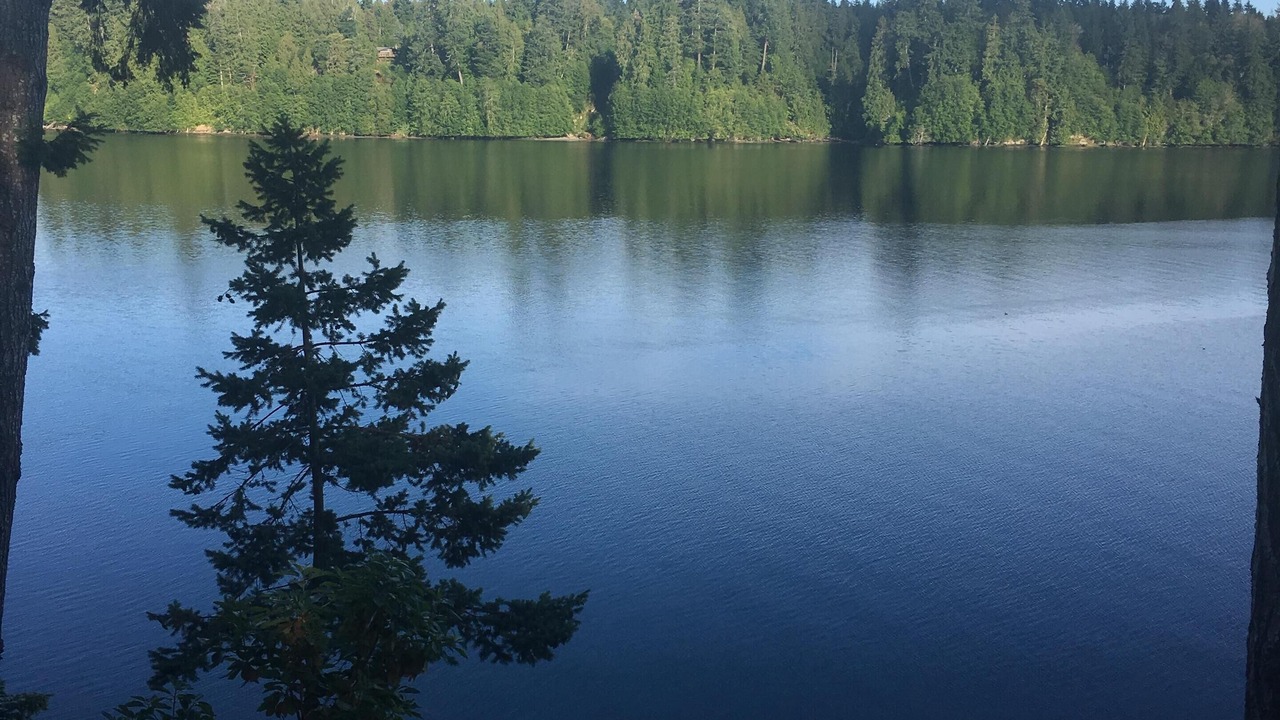 Photo of Others in Grapeview