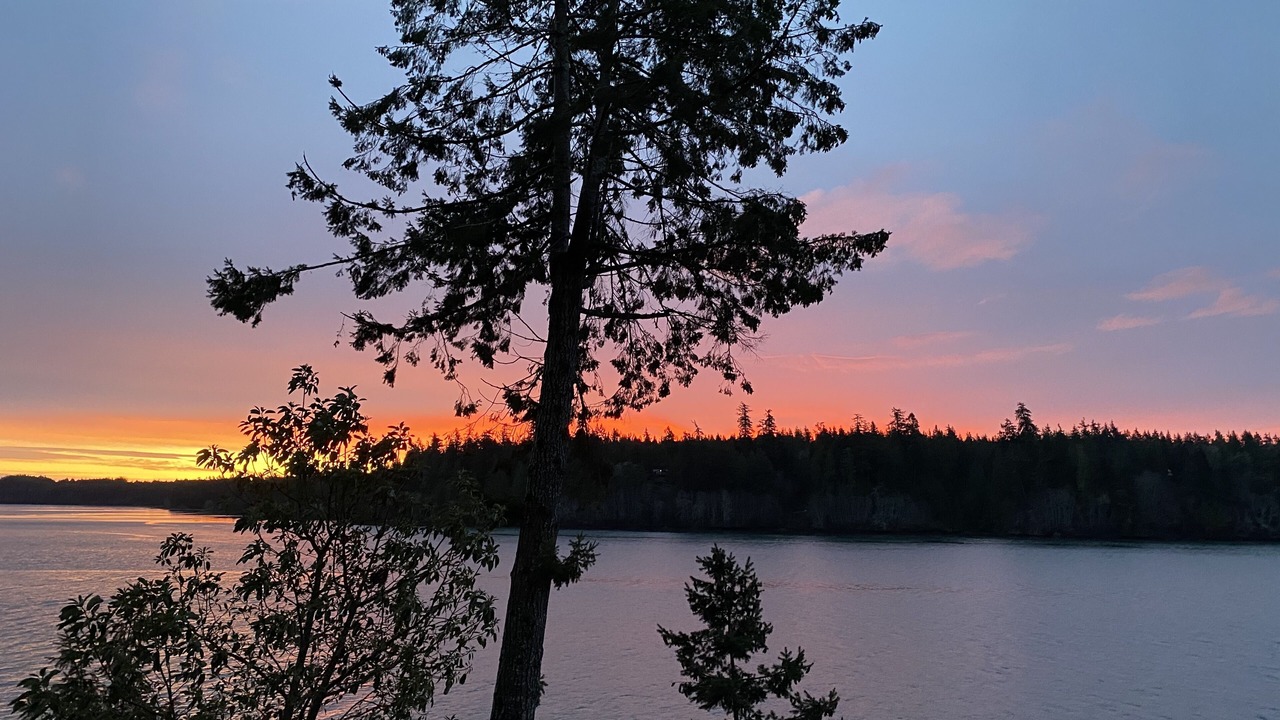 Photo of Others in Grapeview