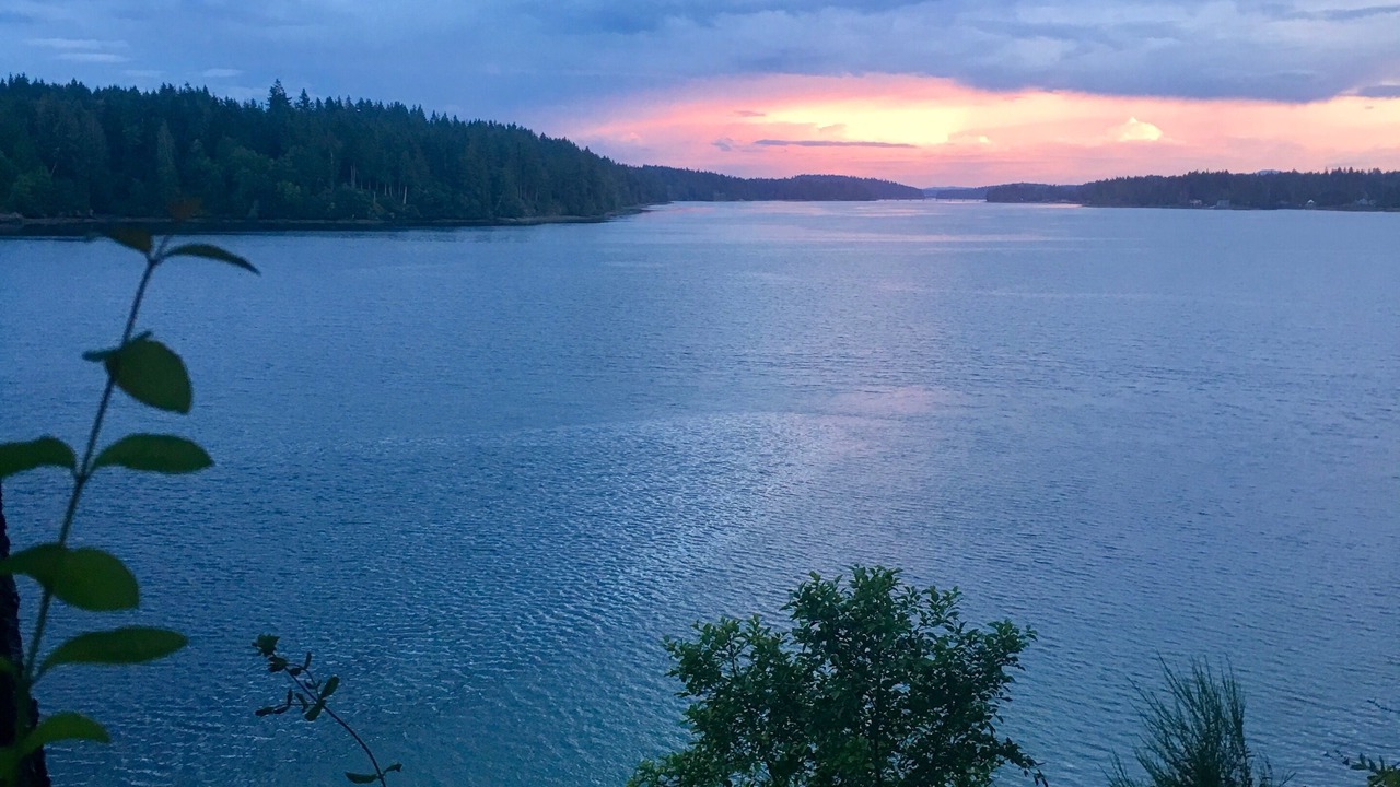 Photo of Others in Grapeview