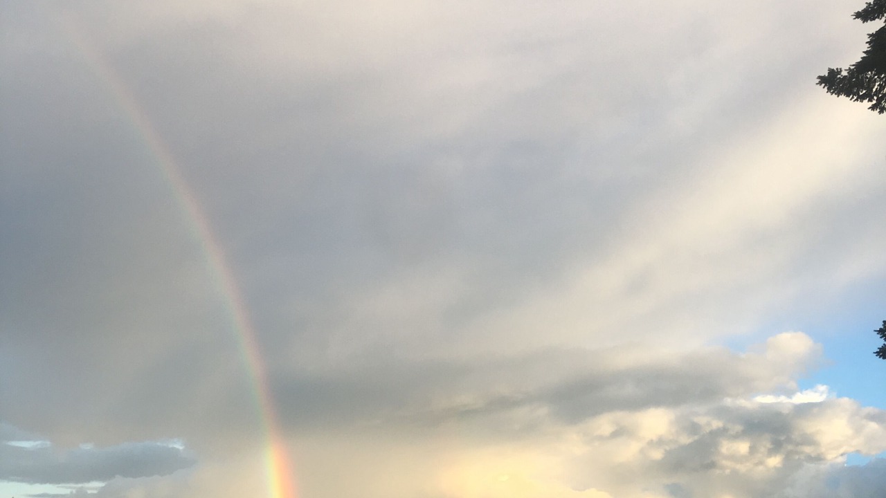 Photo of Others in Grapeview