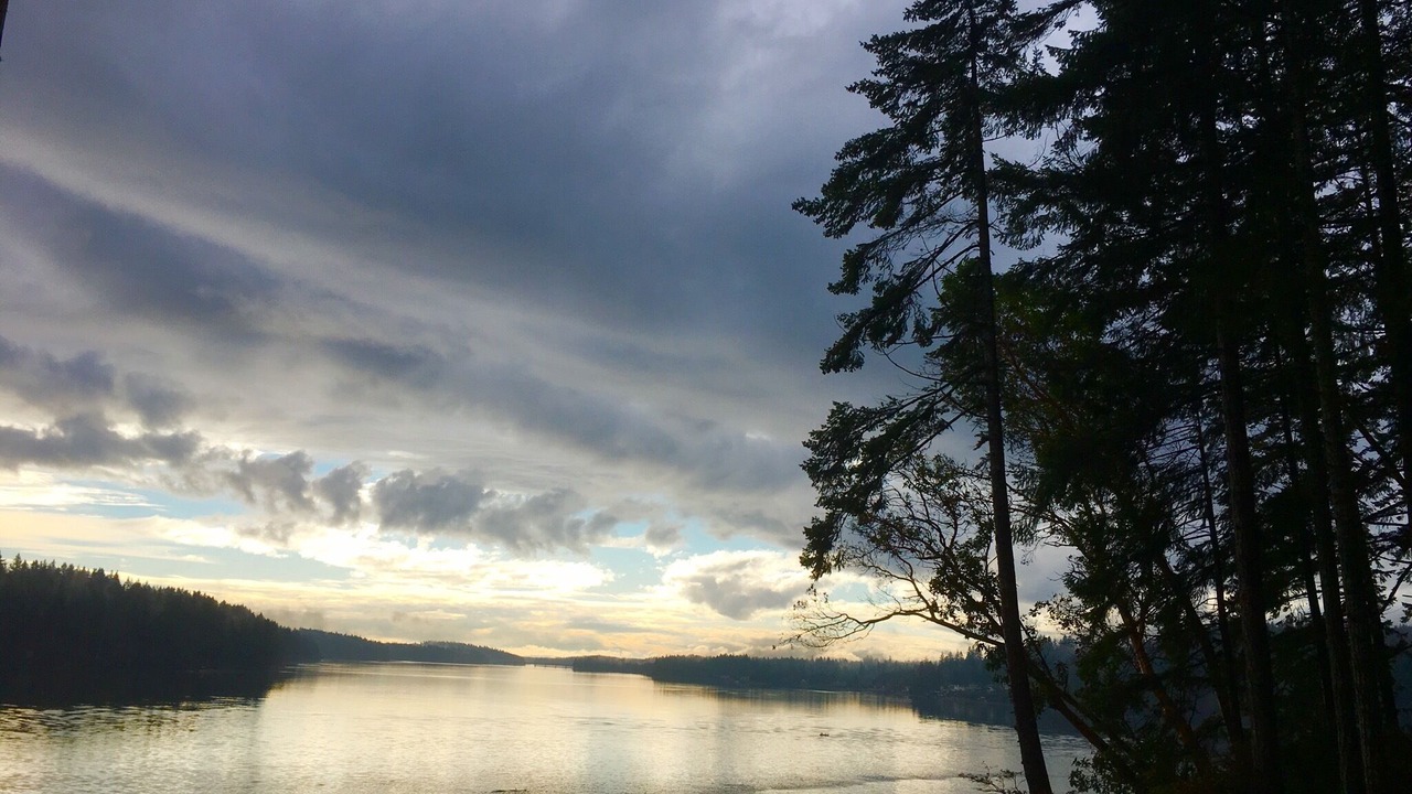 Photo of Others in Grapeview