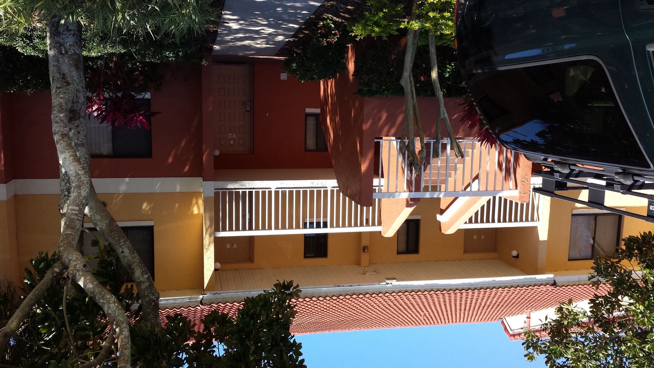 Photo of Outdoor in West Kissimmee