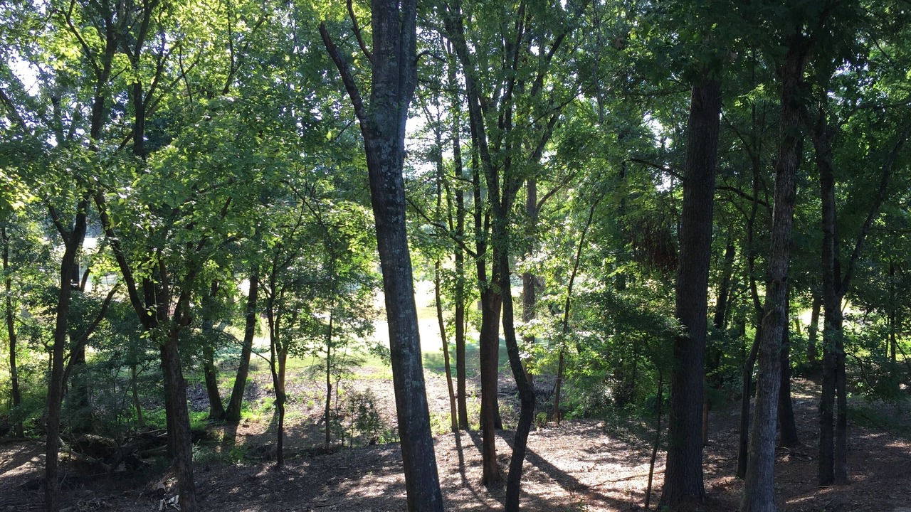 Photo of Outdoor in Batesville