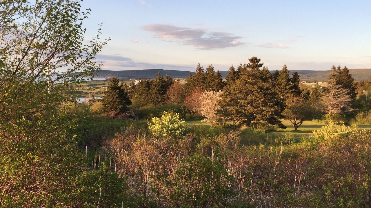 Photo of Outdoor in Inverness