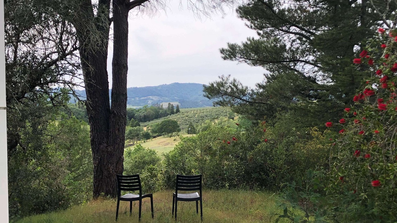 Photo of Others in Healdsburg