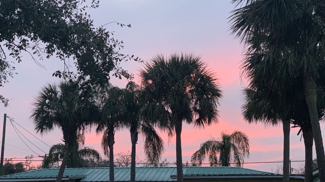 Photo of Others in Fulton