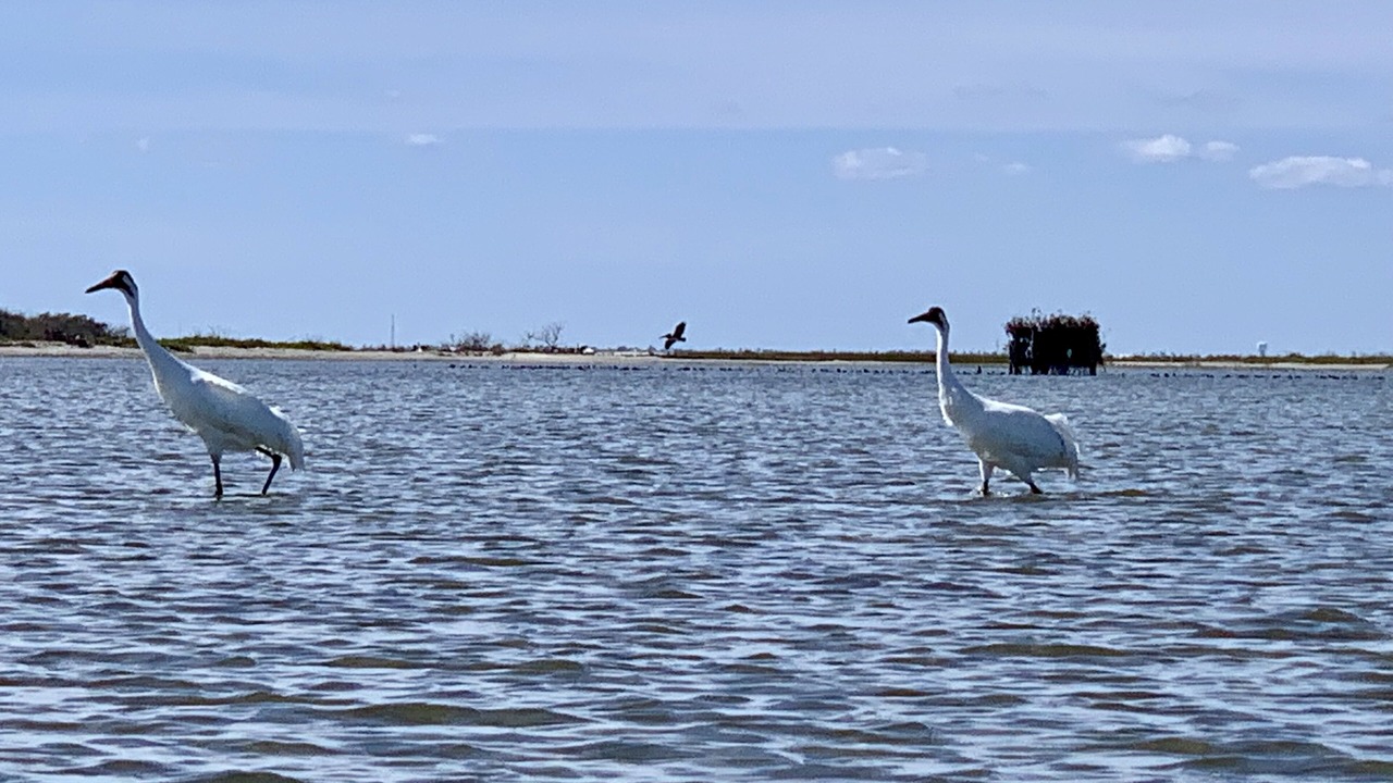 Photo of Others in Fulton