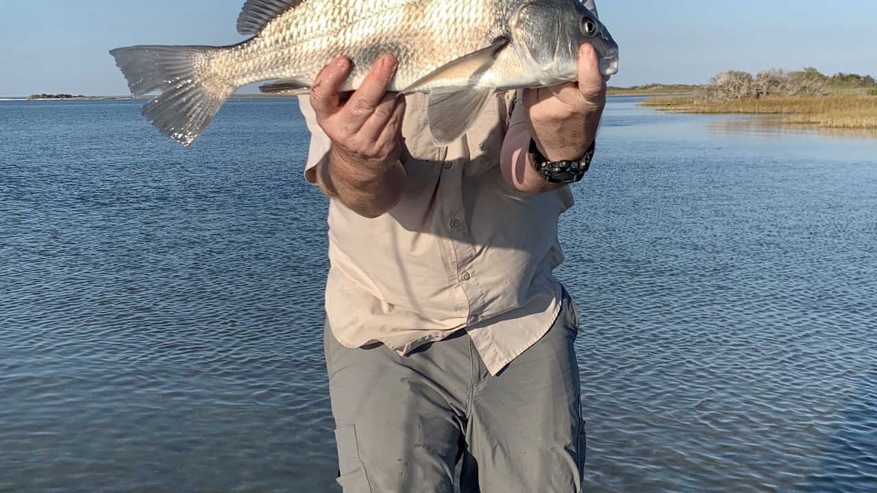 Photo of Others in Fulton