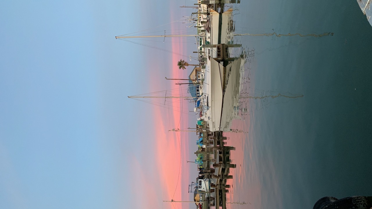 Photo of Others in Fulton