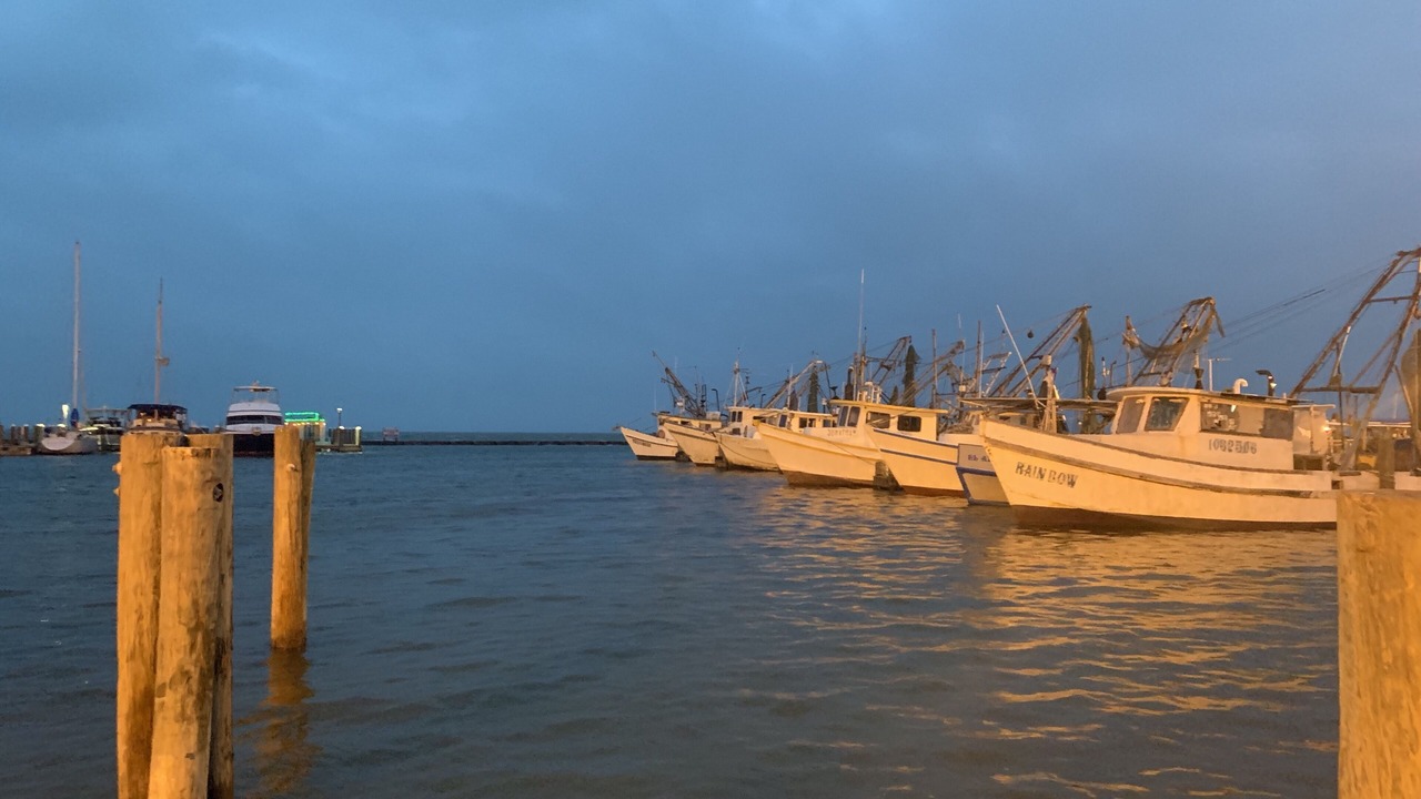 Photo of Others in Fulton