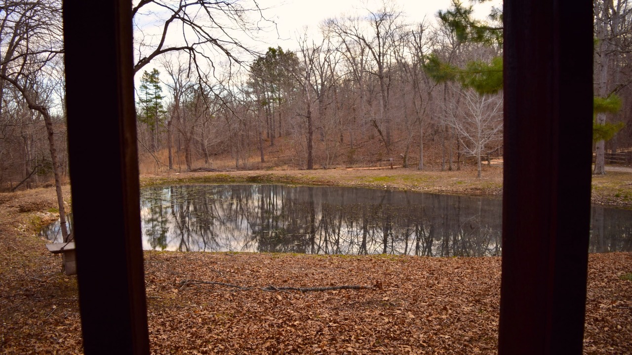 Photo of Outdoor in Moodys