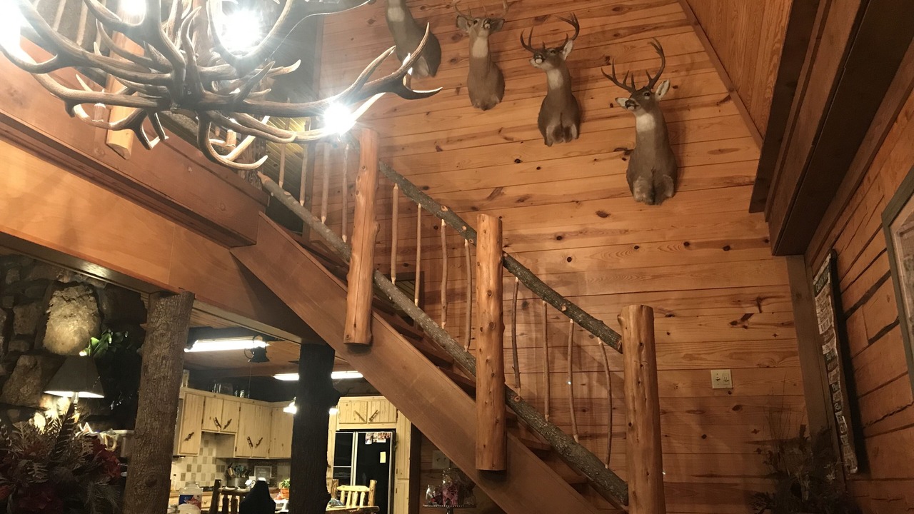 Photo of Livingroom in Moodys