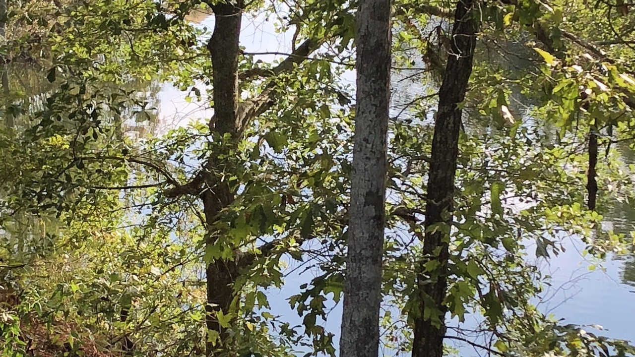 Photo of Outdoor in Edgefield