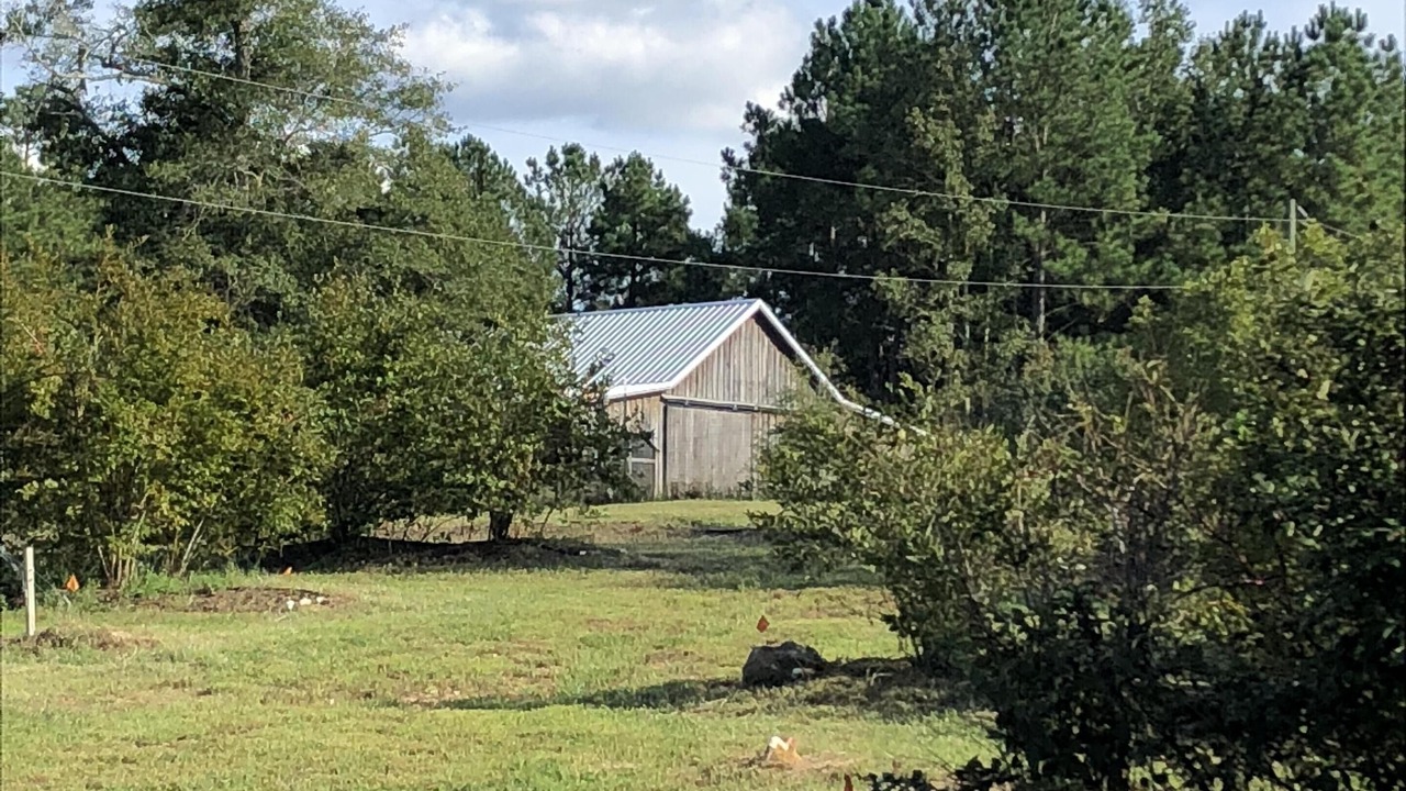 Photo of Others in Edgefield