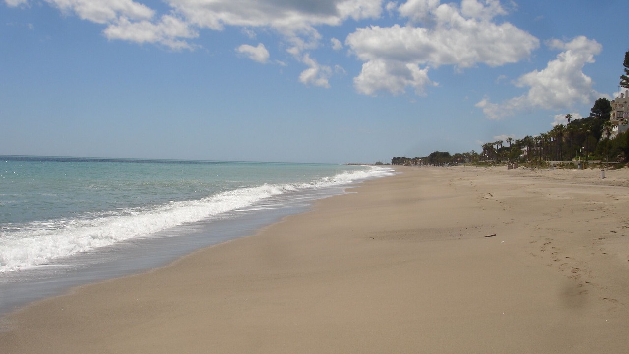 Photo of Others in Miami Platja