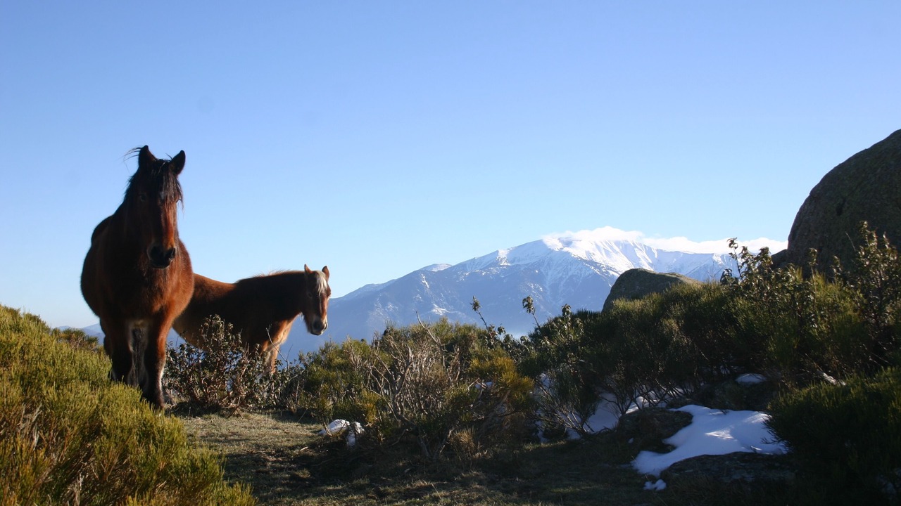 Photo of Outdoor in Campome