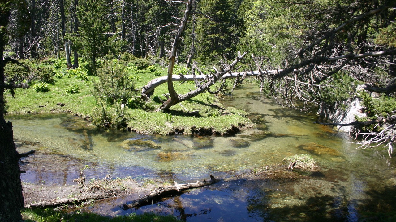 Photo of Others in Campome