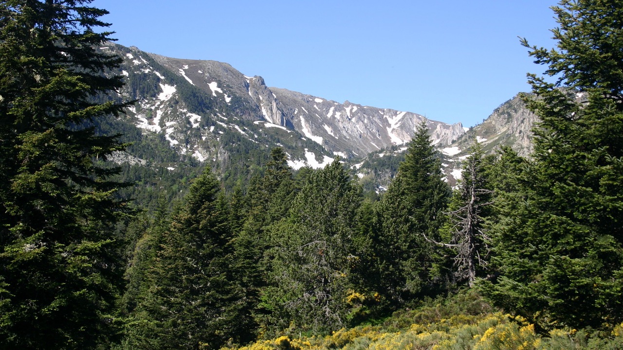 Photo of Others in Campome