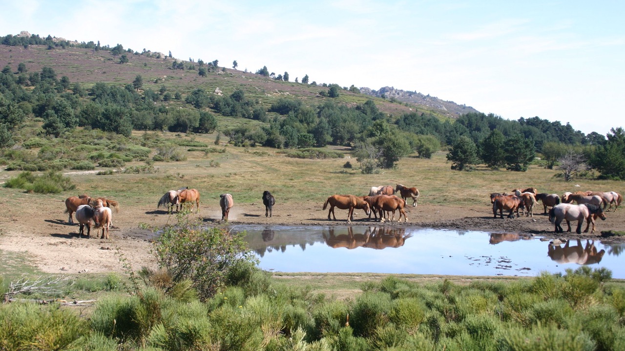 Photo of Outdoor in Campome