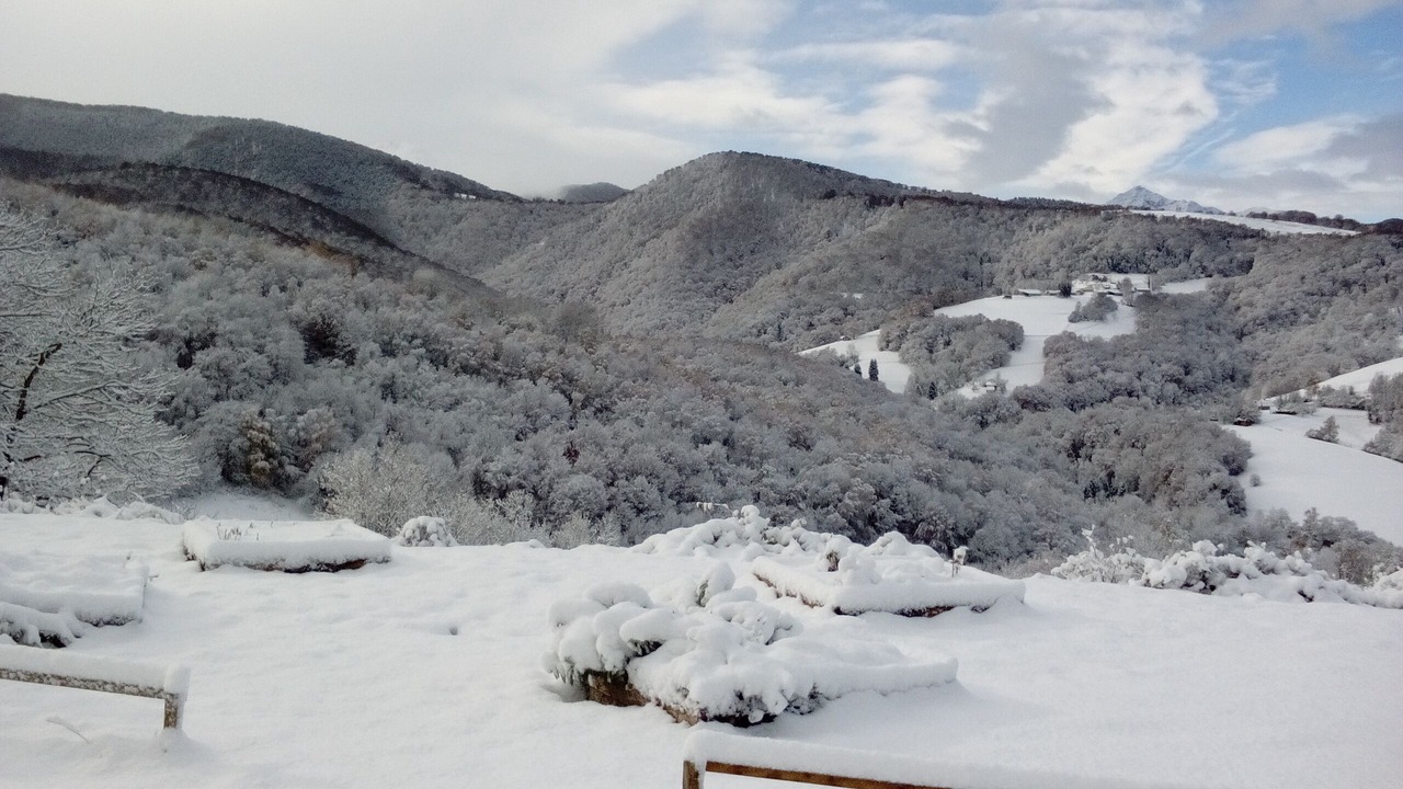 Photo of Outdoor in Lies