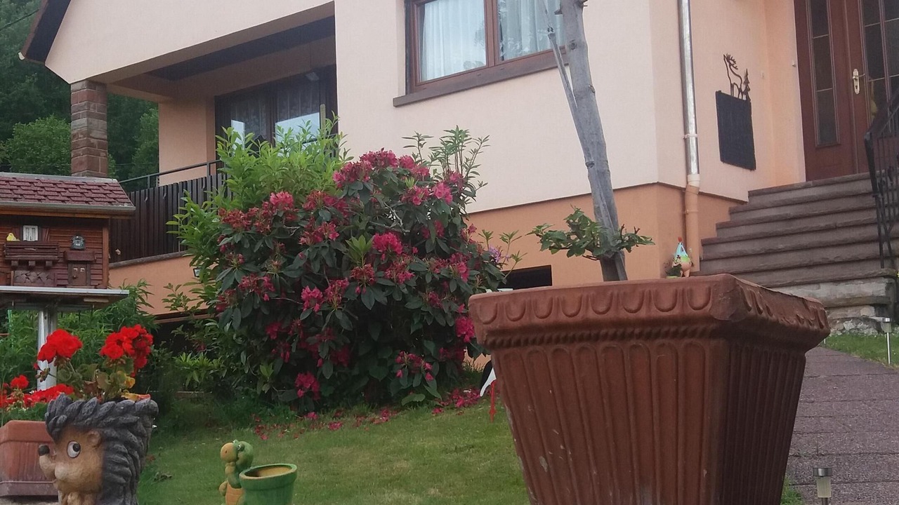 Photo of Outdoor in Le Hohwald