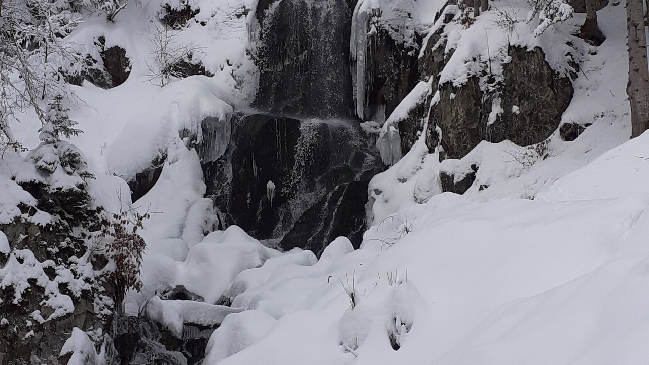 Photo of Others in Le Hohwald