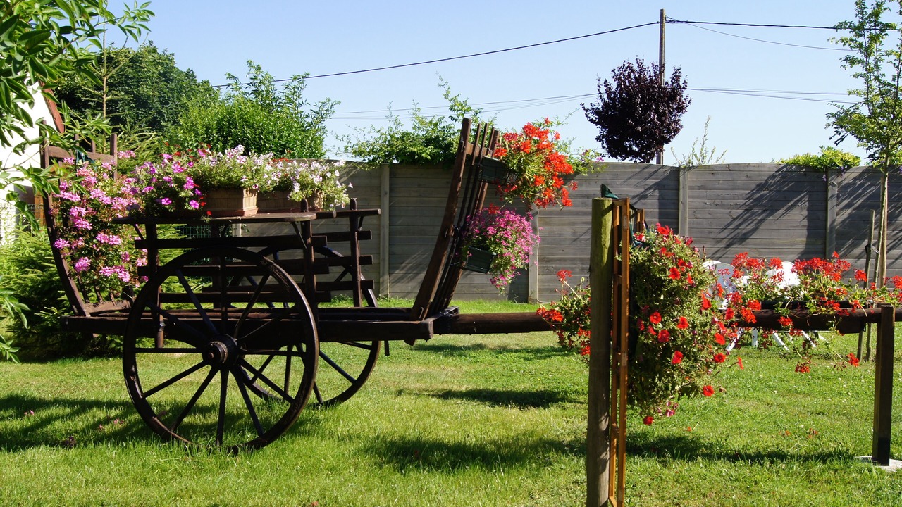 Photo of Outdoor in Blessy