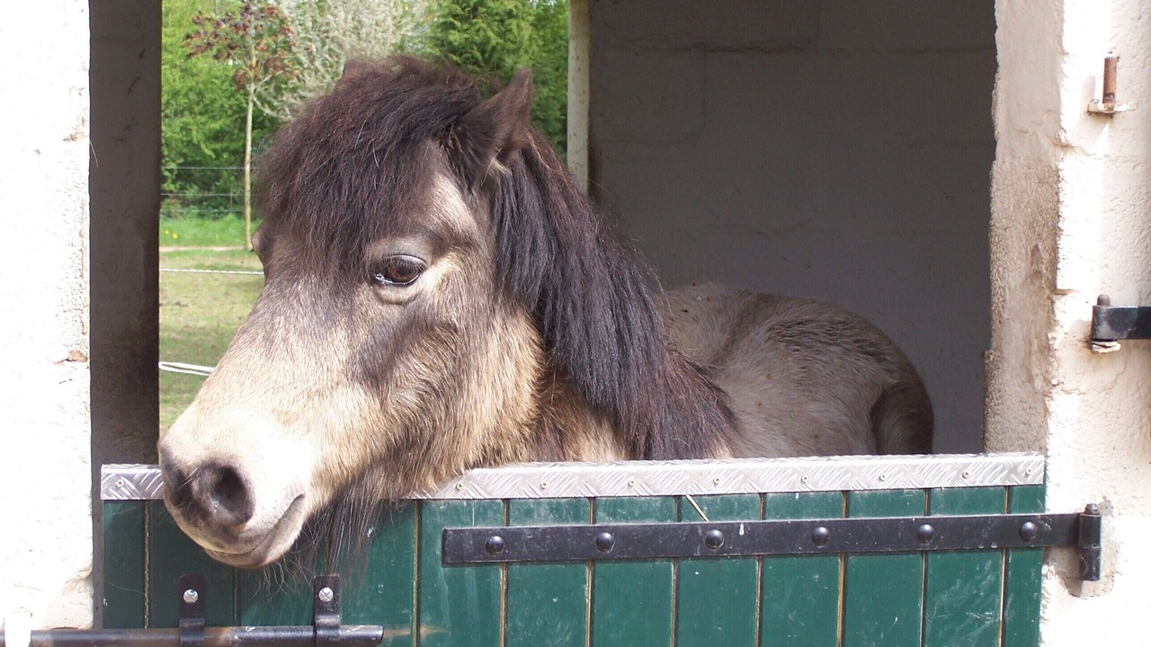 Photo of Others in Blessy