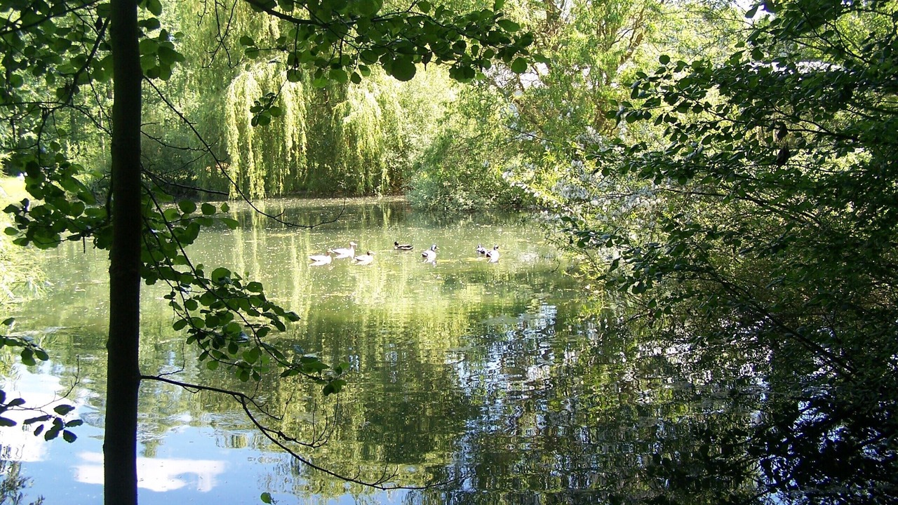 Photo of Others in Blessy