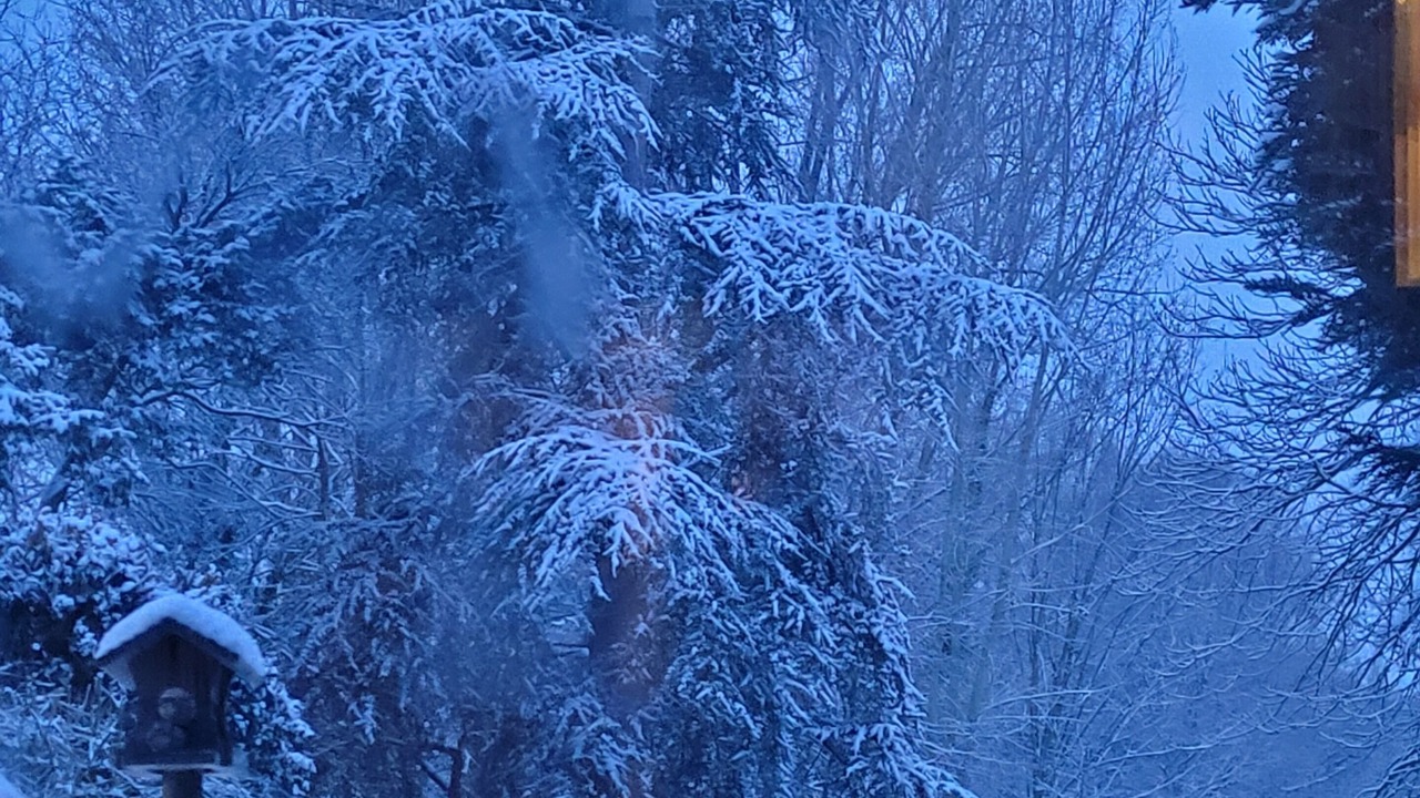 Photo of Others in Blessy