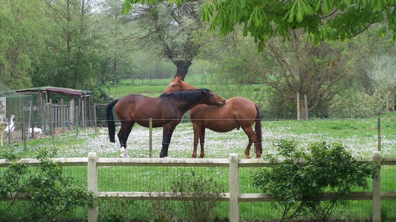 Photo of Outdoor in Blessy