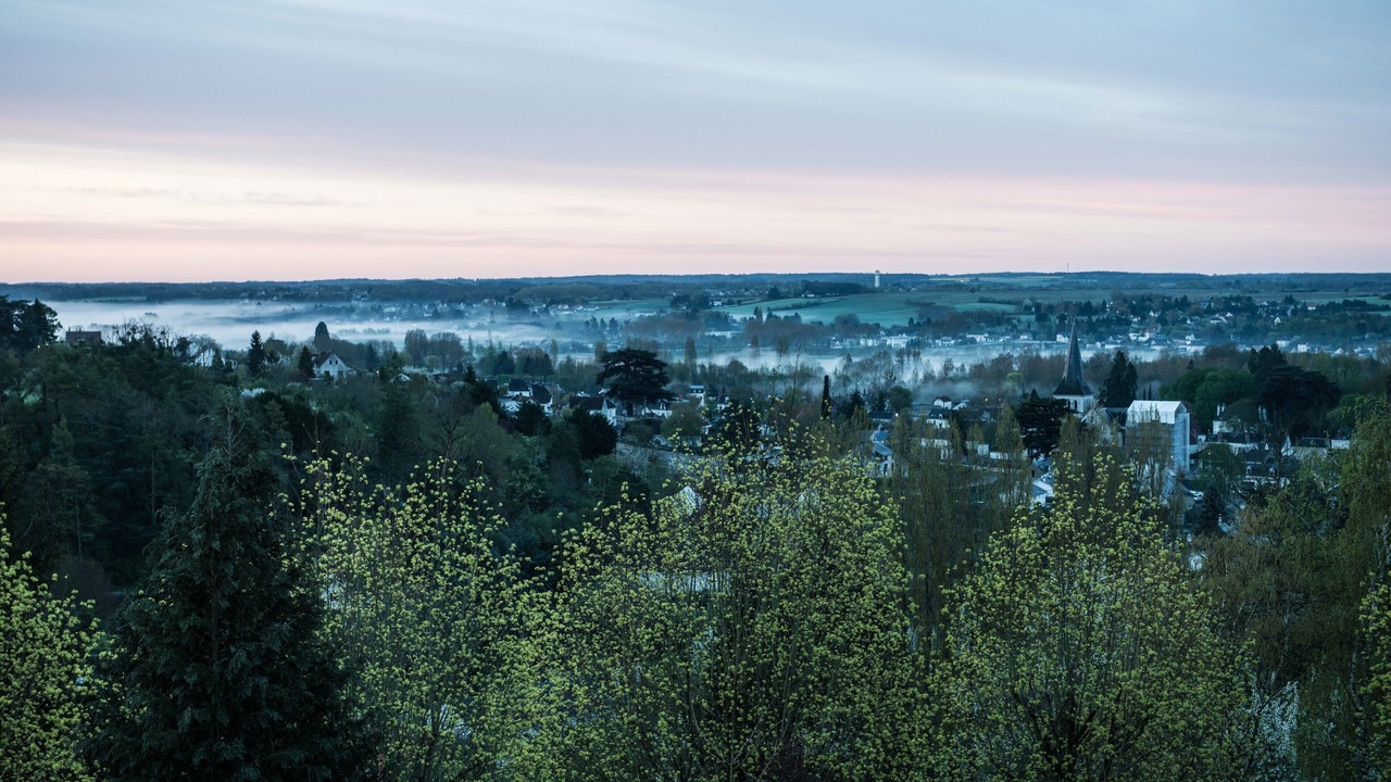 Photo of Others in Montrichard