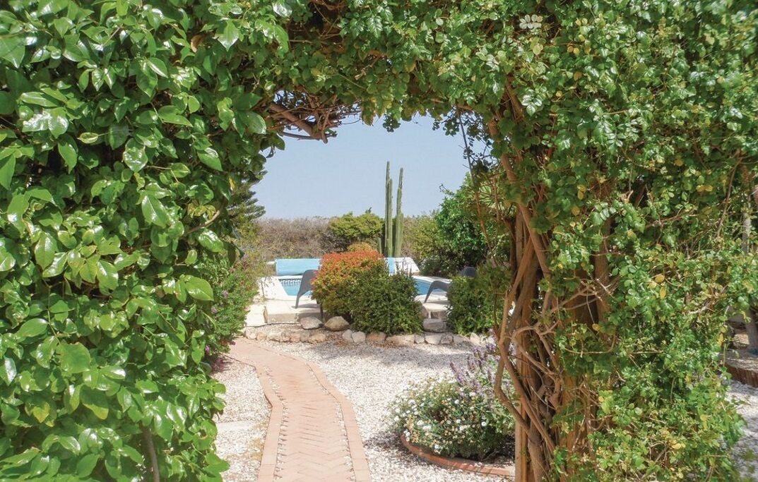 Photo of Outdoor in Orihuela