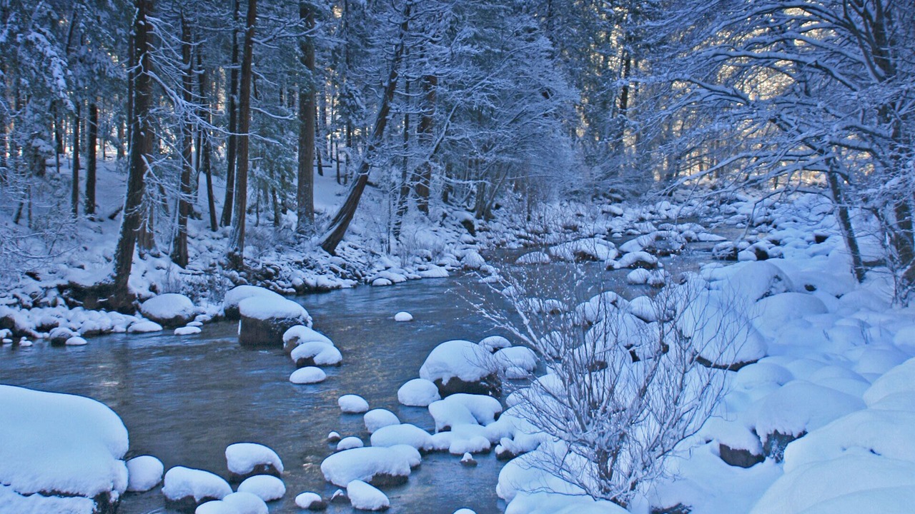 Photo of Others in Yosemite West