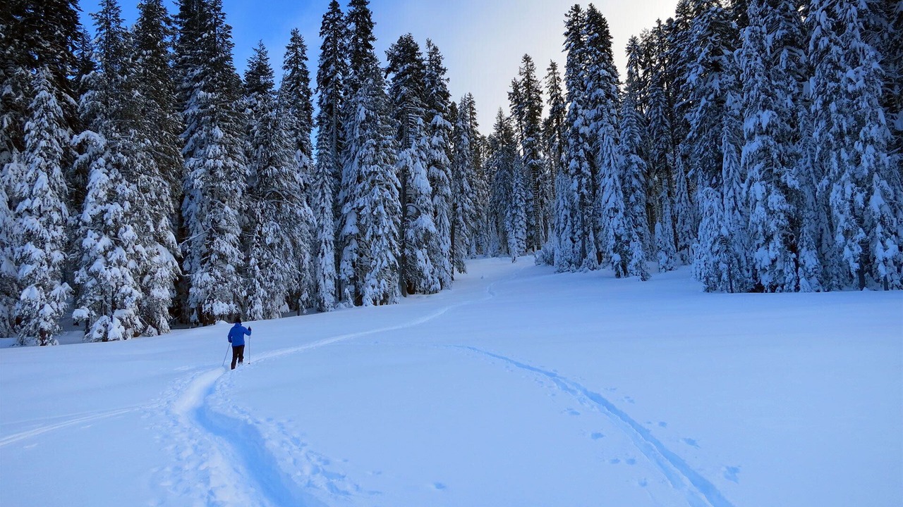 Photo of Others in Yosemite West