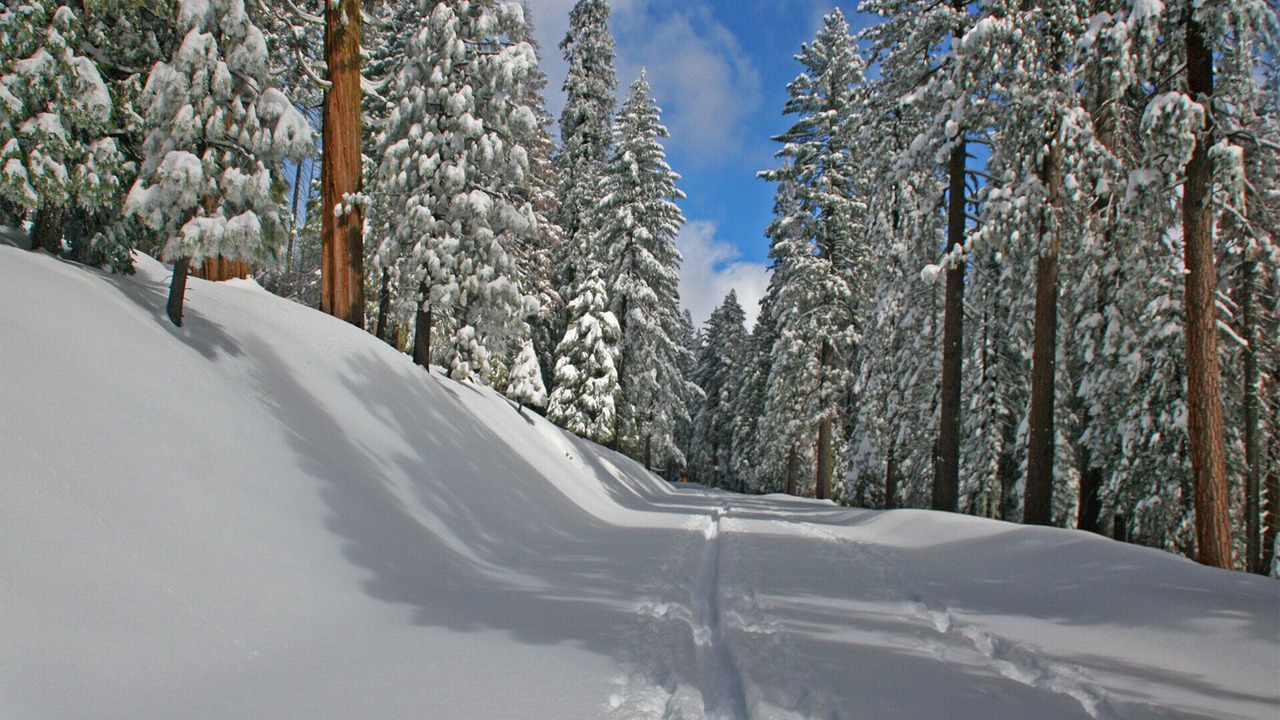 Photo of Others in Yosemite West