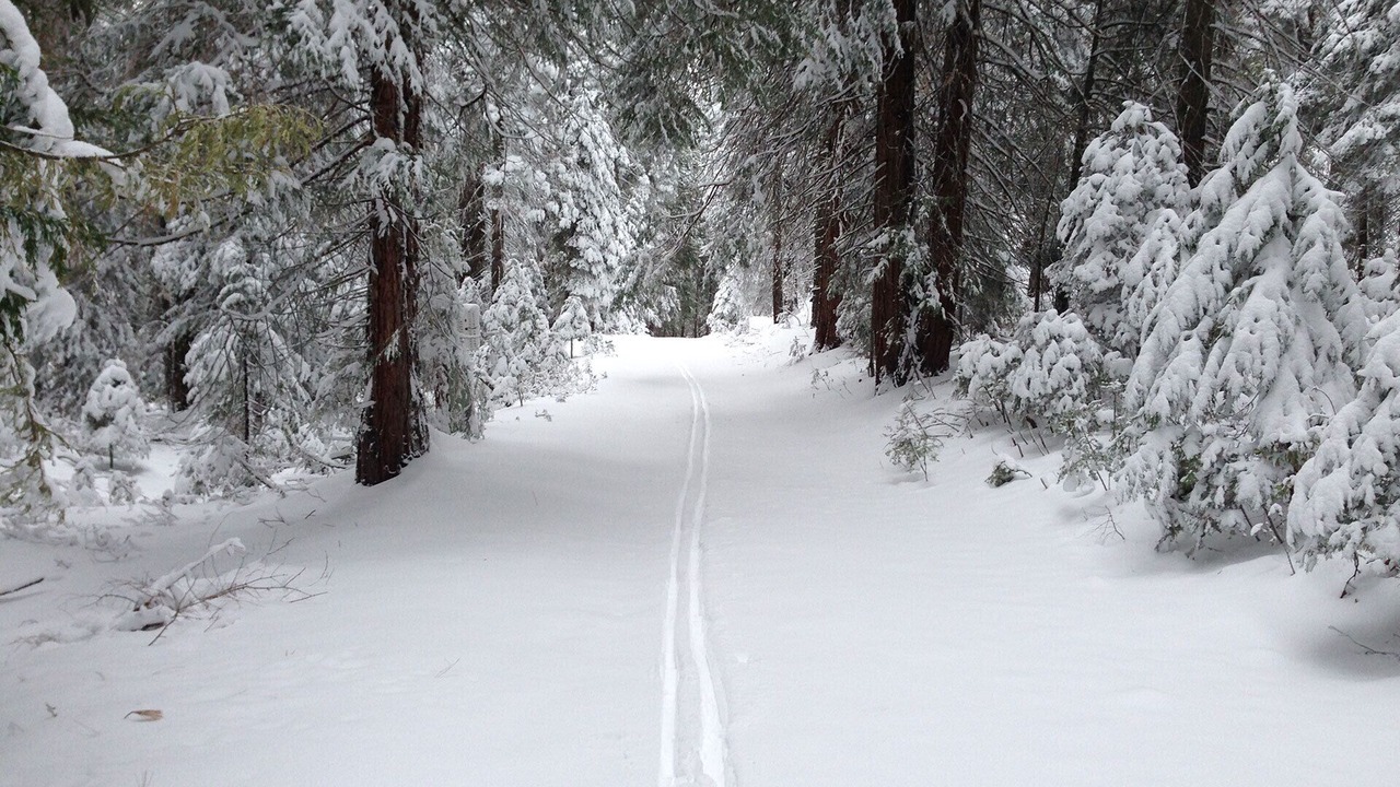Photo of Others in Yosemite West