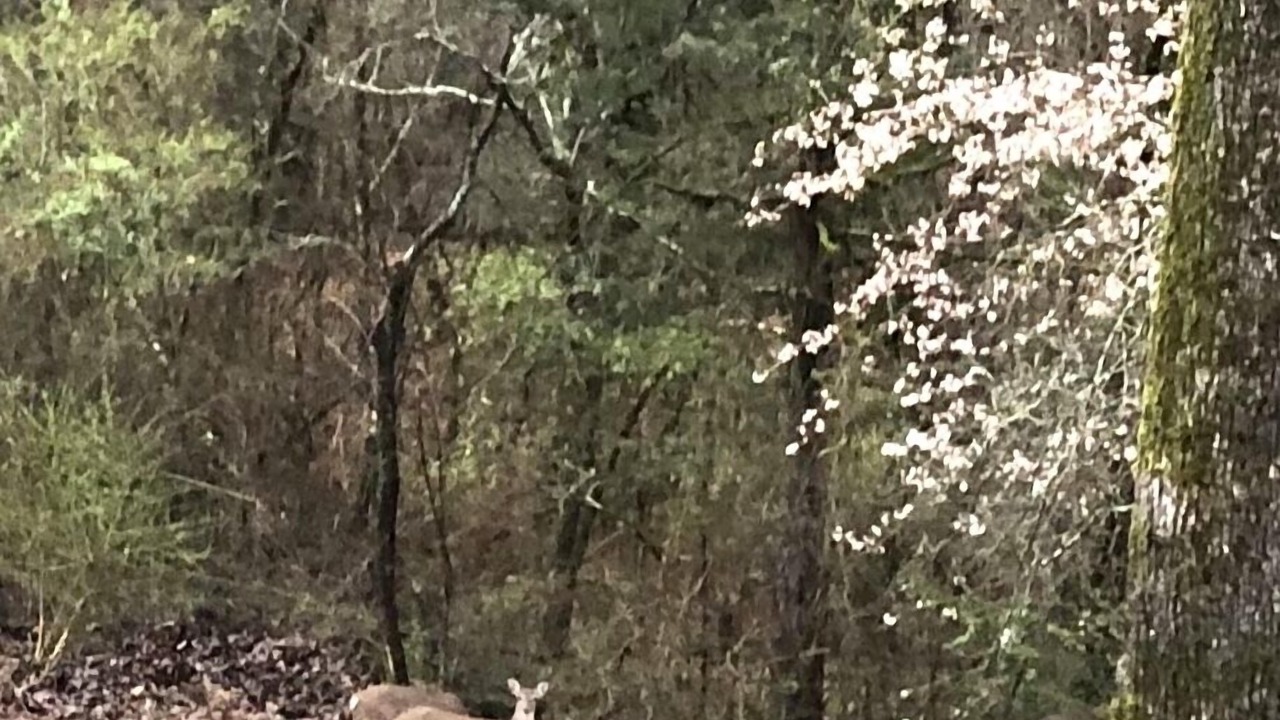 Photo of Outdoor in Mid America