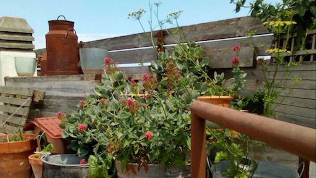 Photo of Outdoor in Pals