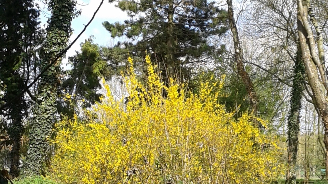 Photo of Outdoor in Domvast