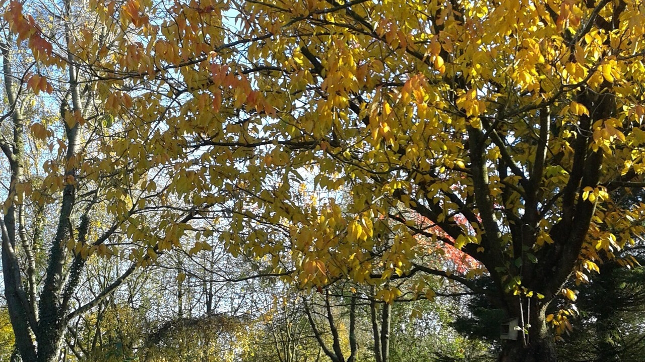 Photo of Outdoor in Domvast