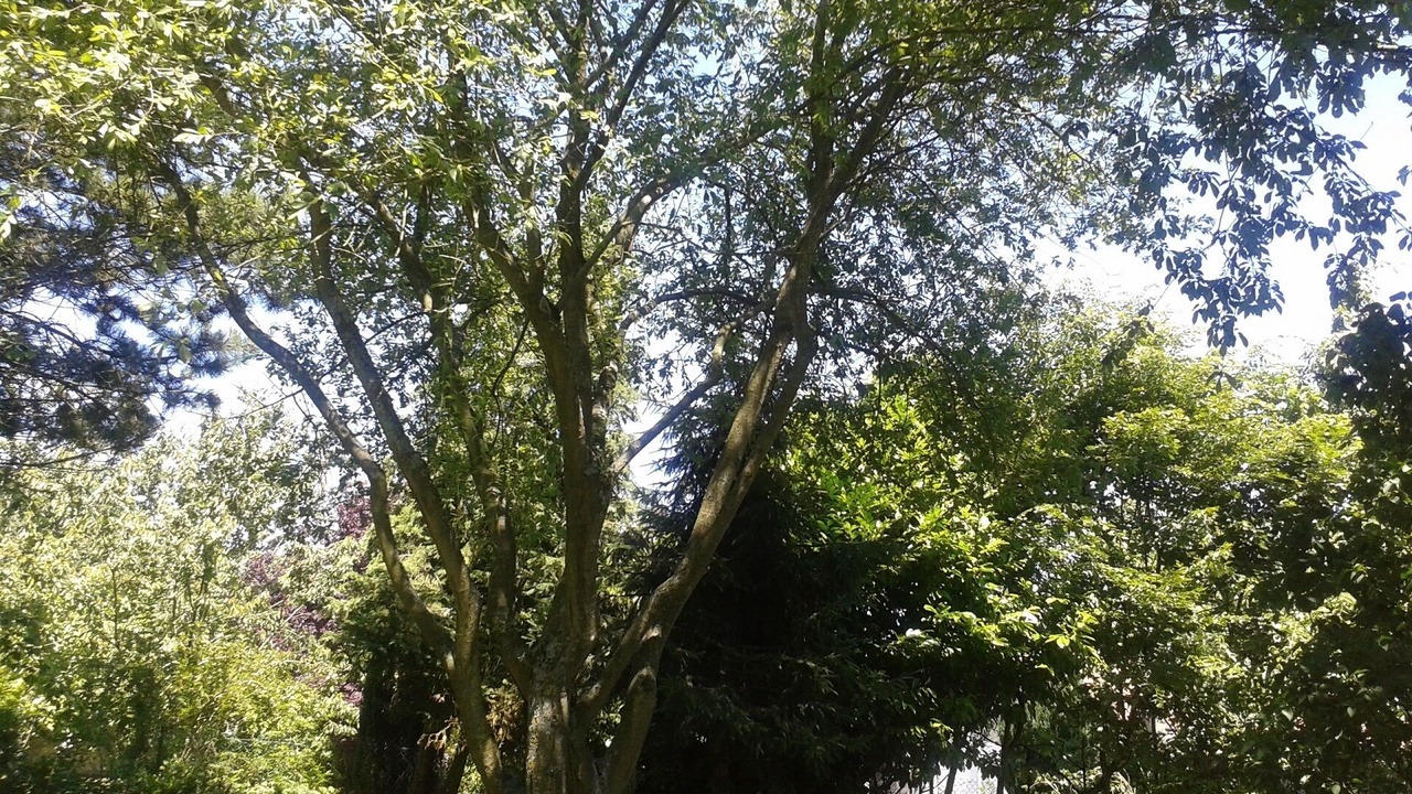 Photo of Outdoor in Domvast