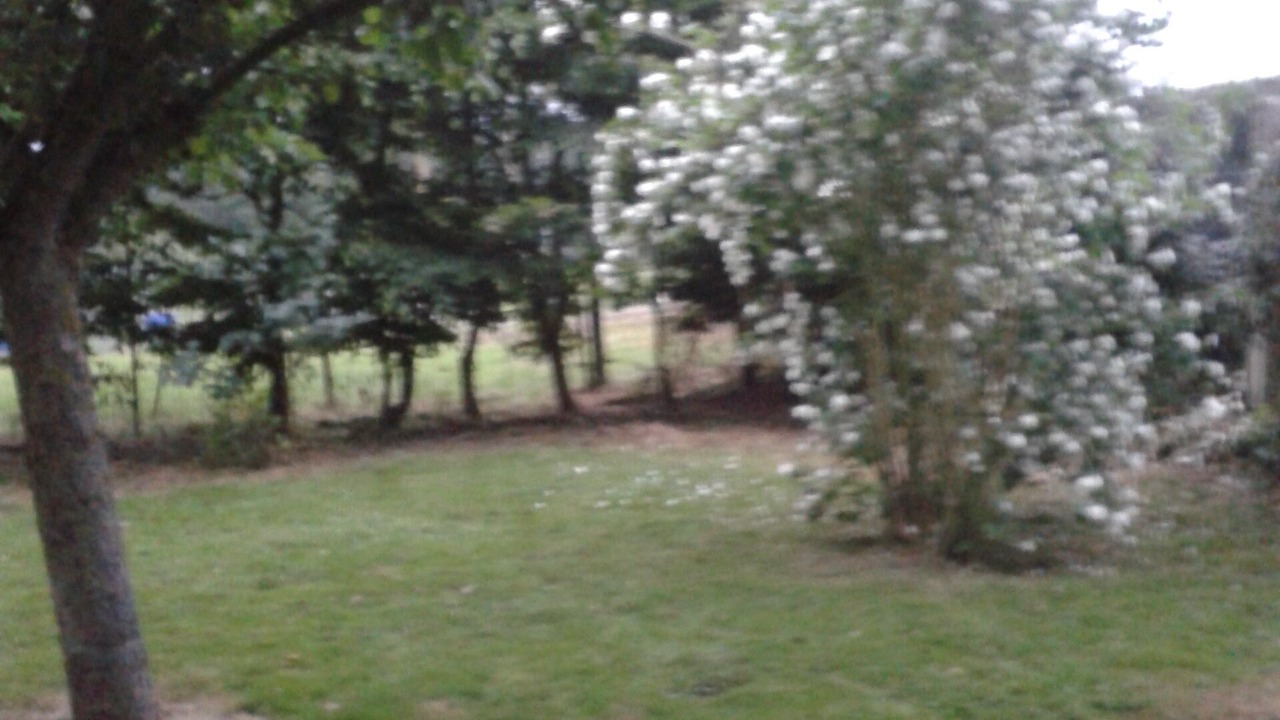 Photo of Outdoor in Domvast