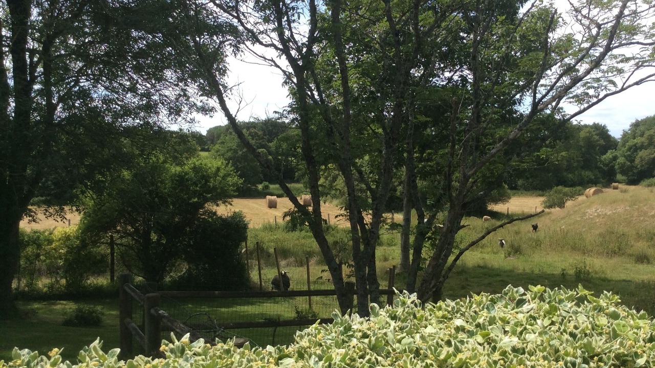 Photo of Outdoor in Le Poire-sur-Vie