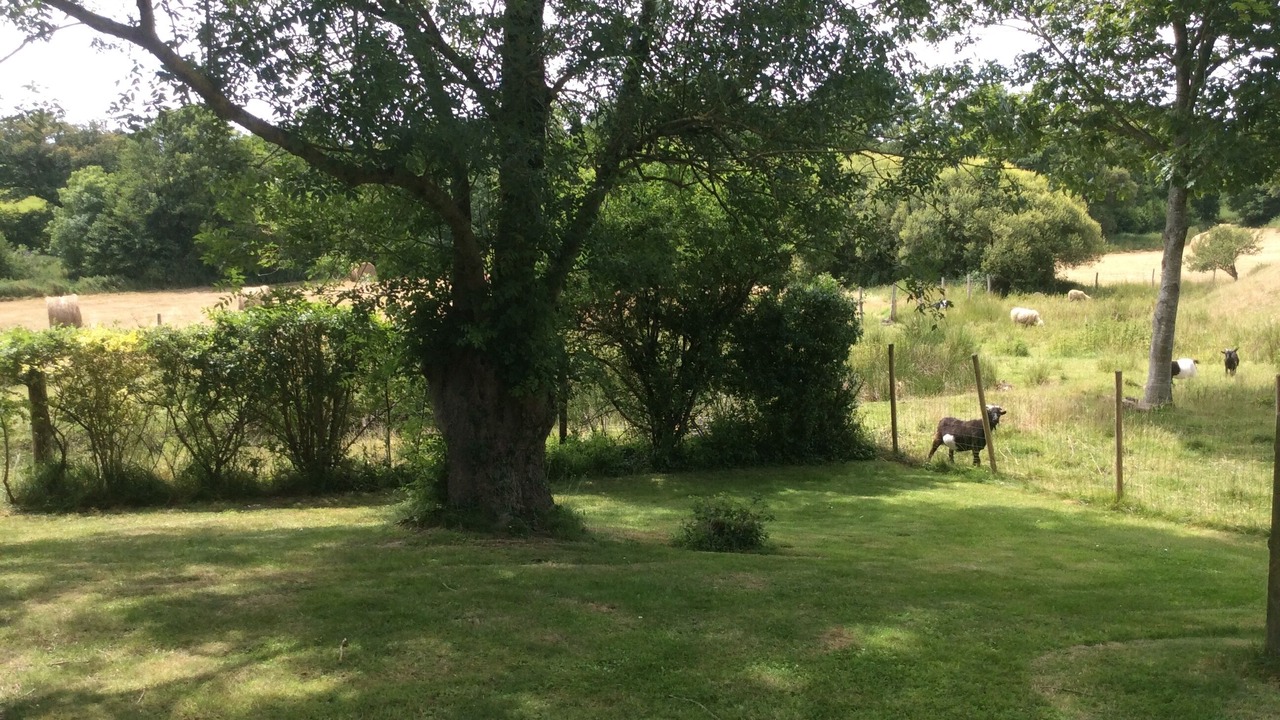 Photo of Outdoor in Le Poire-sur-Vie